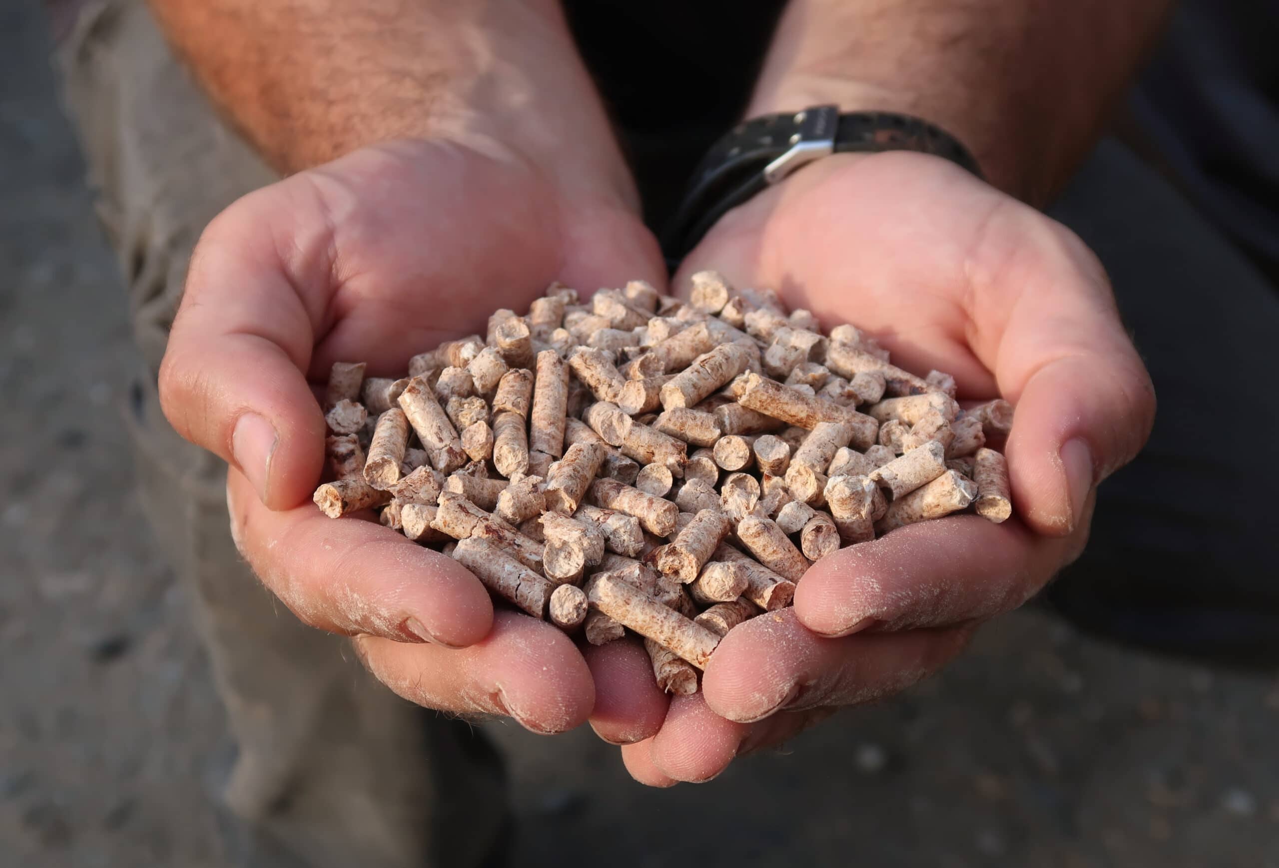 Close-up of a pair of cupped hands filled with hemp pellets.