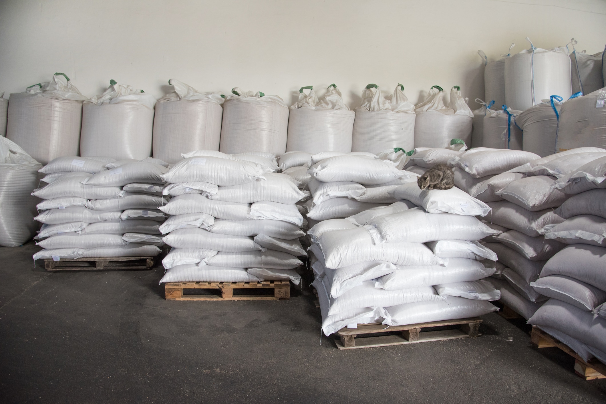 The inside of a storage facility with multiple pallets of stacked bags of hemp hurd.